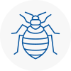 Bed Bug Extermination In Tynemouth